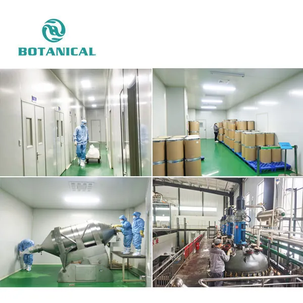 Soapnut Extract Powder