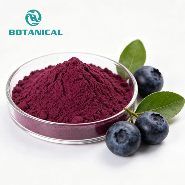 Bilberry Extract Anthocyanidins 1