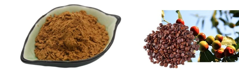 Jujube Extract Powder 2 Jujubosides by Botanical Cube Inc1 Jujube Extract Powder 2 Jujubosides by Botanical Cube Inc1